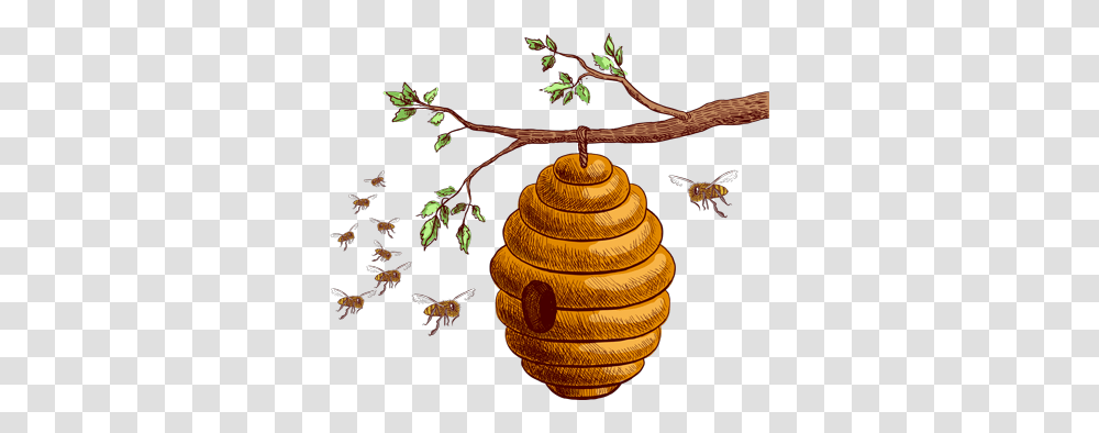 Bee, Insect, Tree, Plant, Invertebrate Transparent Png