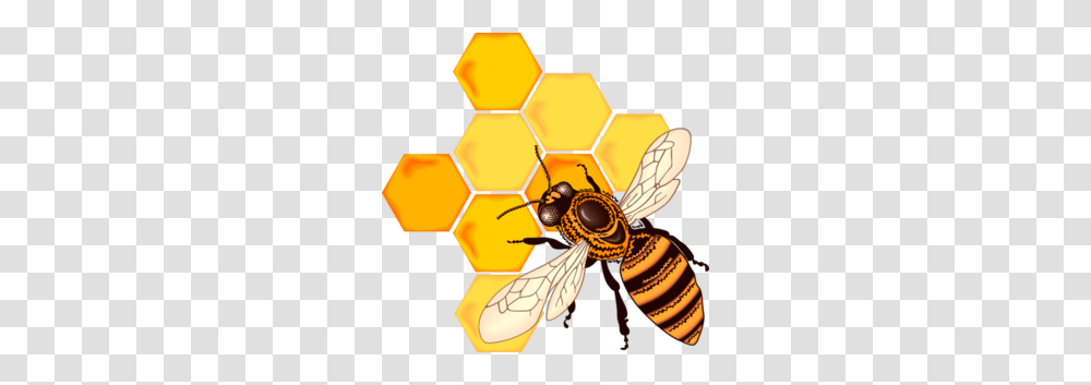 Bee, Insect, Wasp, Invertebrate, Animal Transparent Png