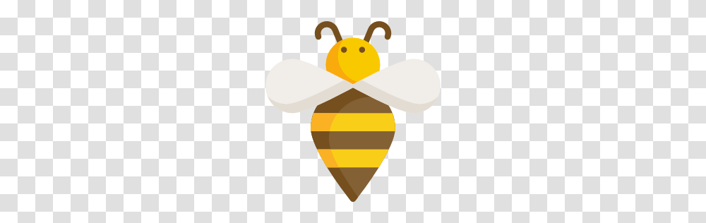 Bee, Insect, Wasp, Invertebrate, Animal Transparent Png