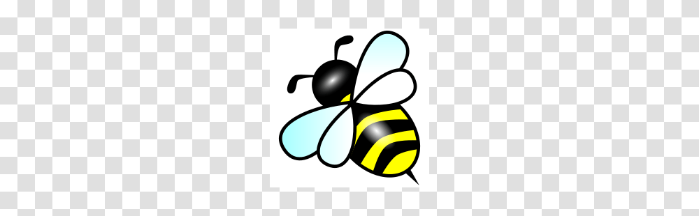 Bee, Invertebrate, Animal, Insect, Honey Bee Transparent Png