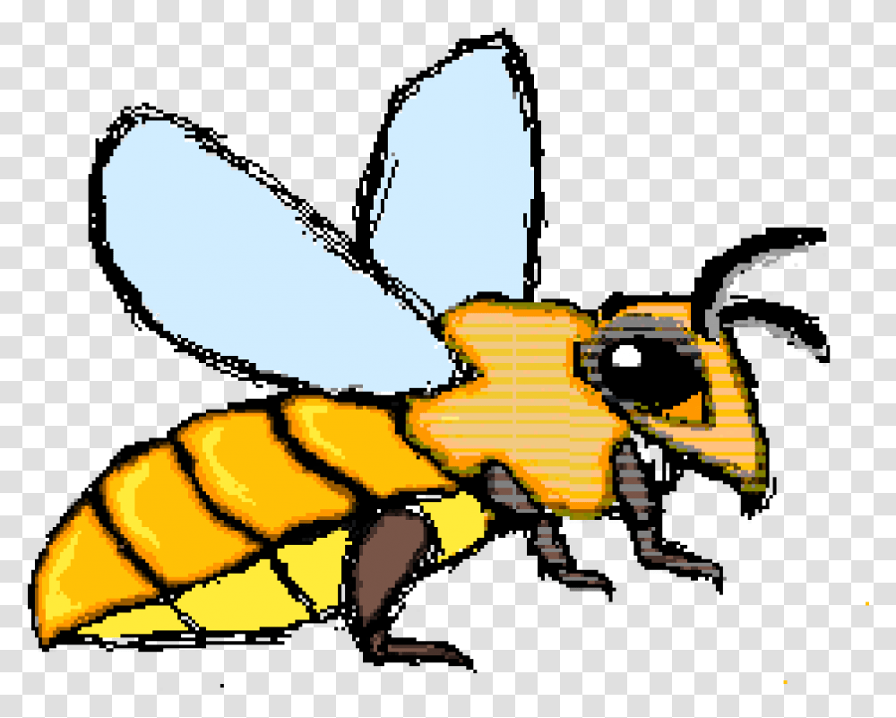 Bee Not Flying Cartoon, Wasp, Insect, Invertebrate, Animal Transparent Png