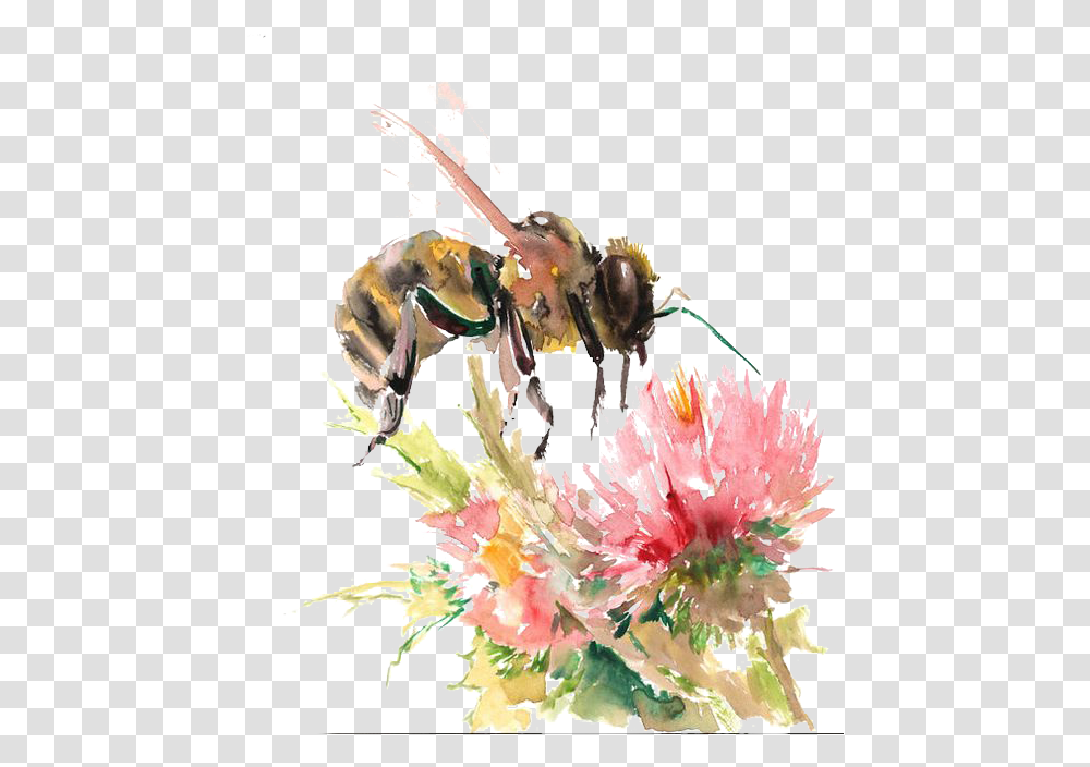 Bee On Flower Drawing, Insect, Invertebrate, Animal Transparent Png