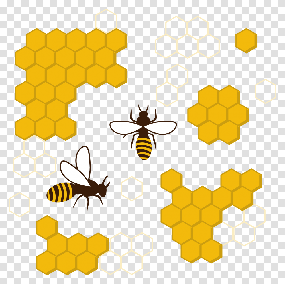 Bee Outline Honey Bee Comb Clipart, Honeycomb, Food, Wasp, Insect Transparent Png