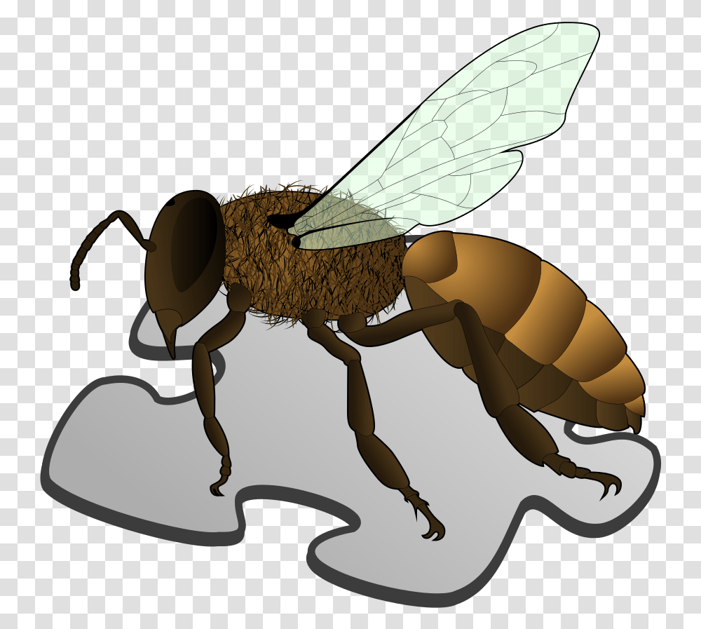 Bee Picture Anatomy Of A Sandfly, Wasp, Insect, Invertebrate, Animal Transparent Png