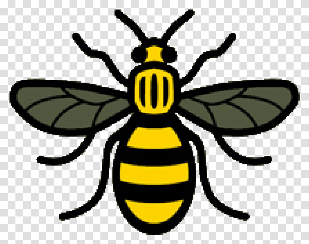 Bee Picture Images Download Honey Manchester Worker Bee Logo, Wasp, Insect, Invertebrate, Animal Transparent Png