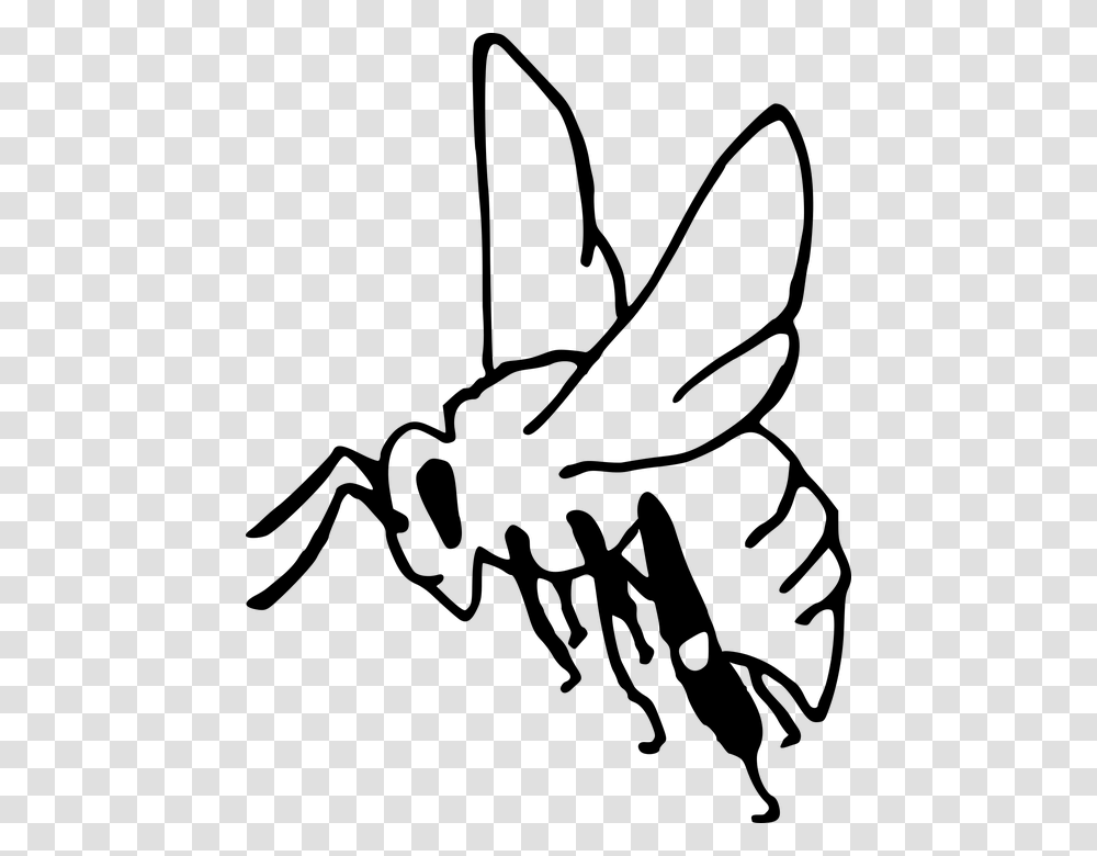 Bee Pollination Insect Garden Honey Sting Outline Madhumakkhi Clipart Black And White, Gray, World Of Warcraft Transparent Png