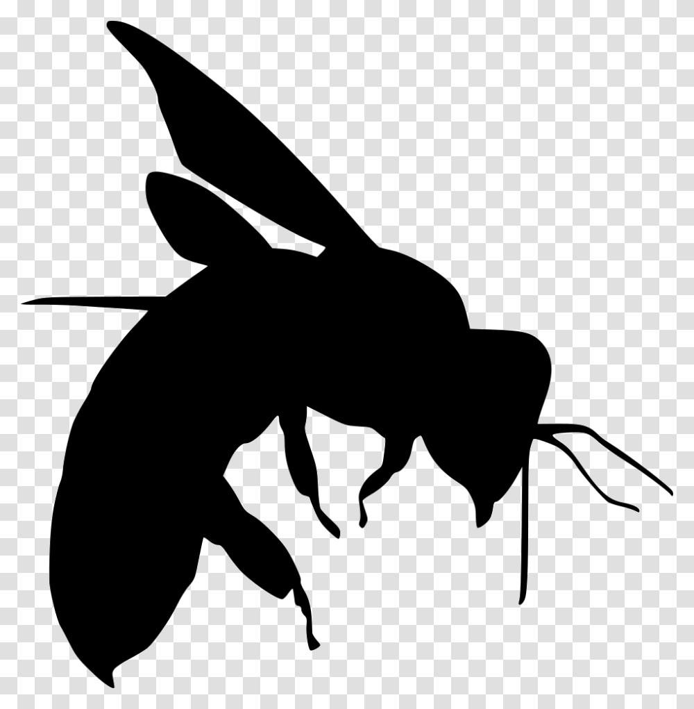 Bee Stencils Design Birds, Silhouette, Wasp, Insect, Invertebrate Transparent Png