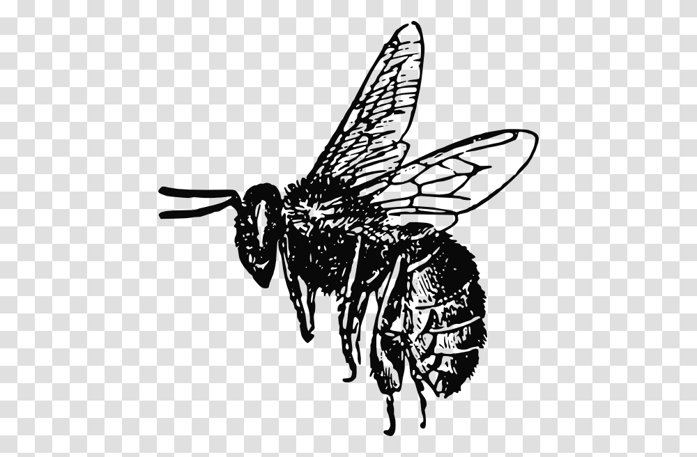 Bee Svg Clip Arts Realistic Bee Clip Art Black And White, Wasp, Insect, Invertebrate, Animal Transparent Png