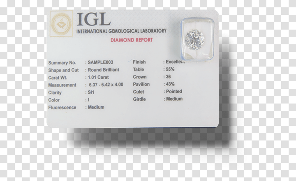Bee, Driving License, Document, Diamond Transparent Png