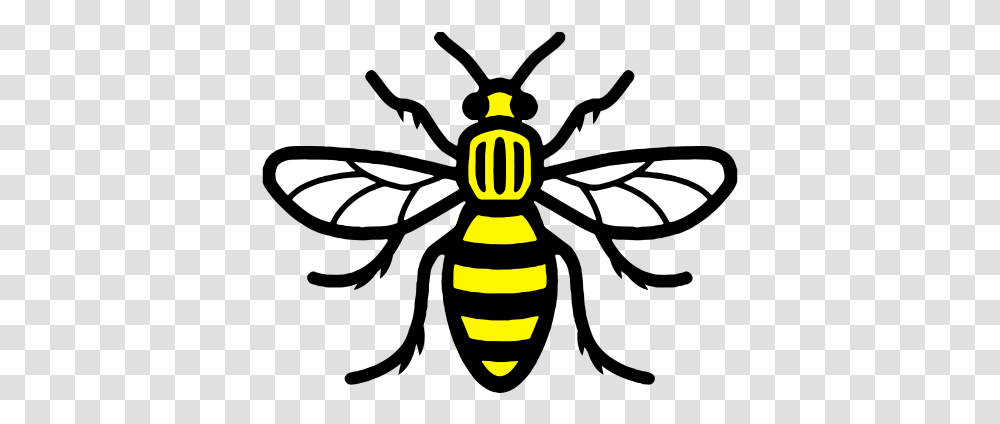 Bee Vector 1 Image Manchester Bee, Wasp, Insect, Invertebrate, Animal Transparent Png