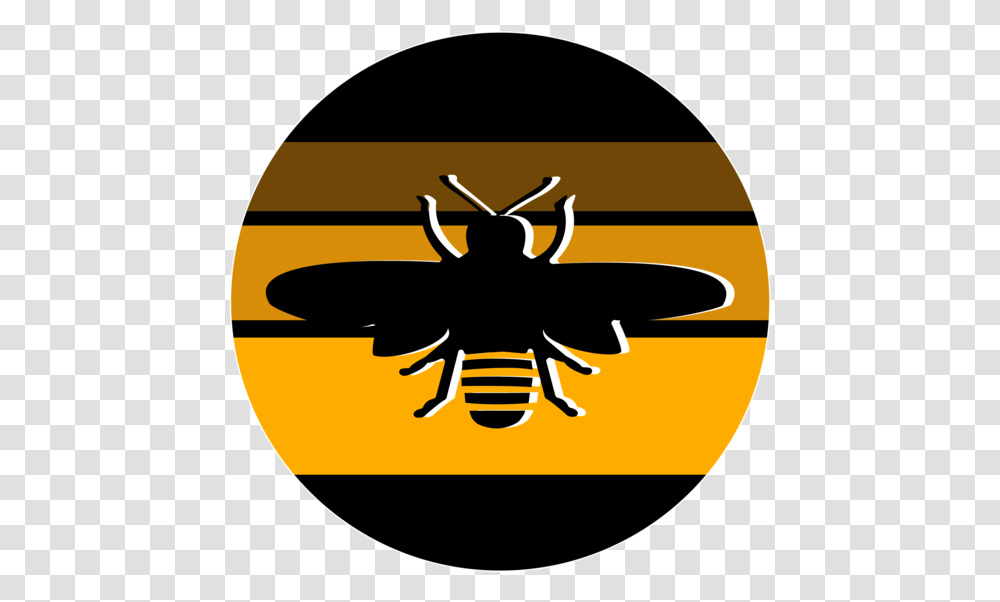 Bee Vector, Wasp, Insect, Invertebrate, Animal Transparent Png