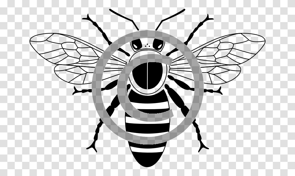 Bee, Wasp, Insect, Invertebrate, Animal Transparent Png