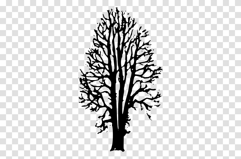 Beech Tree Vector Image, Gray, World Of Warcraft Transparent Png