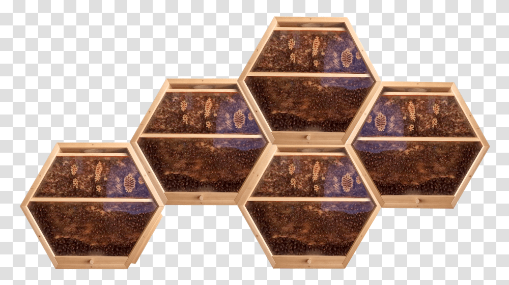 Beecosystem New Hive Shop, Soil, Tobacco, Box, Cork Transparent Png