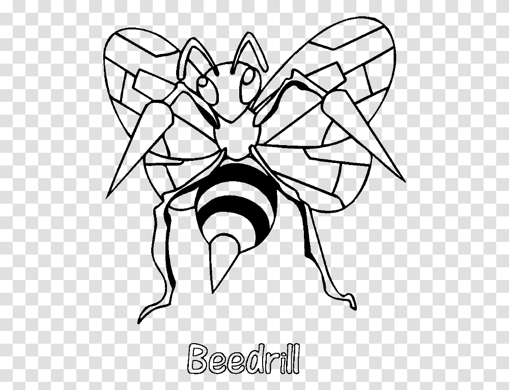 Beedrill Pokemon Coloring, Stencil, Spider Web, Invertebrate, Animal Transparent Png