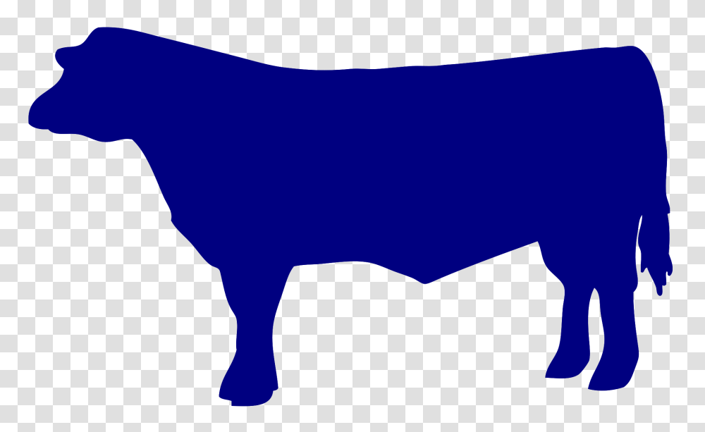 Beef Black And White Stock Beef Steer Huge Freebie, Bull, Mammal, Animal, Cattle Transparent Png