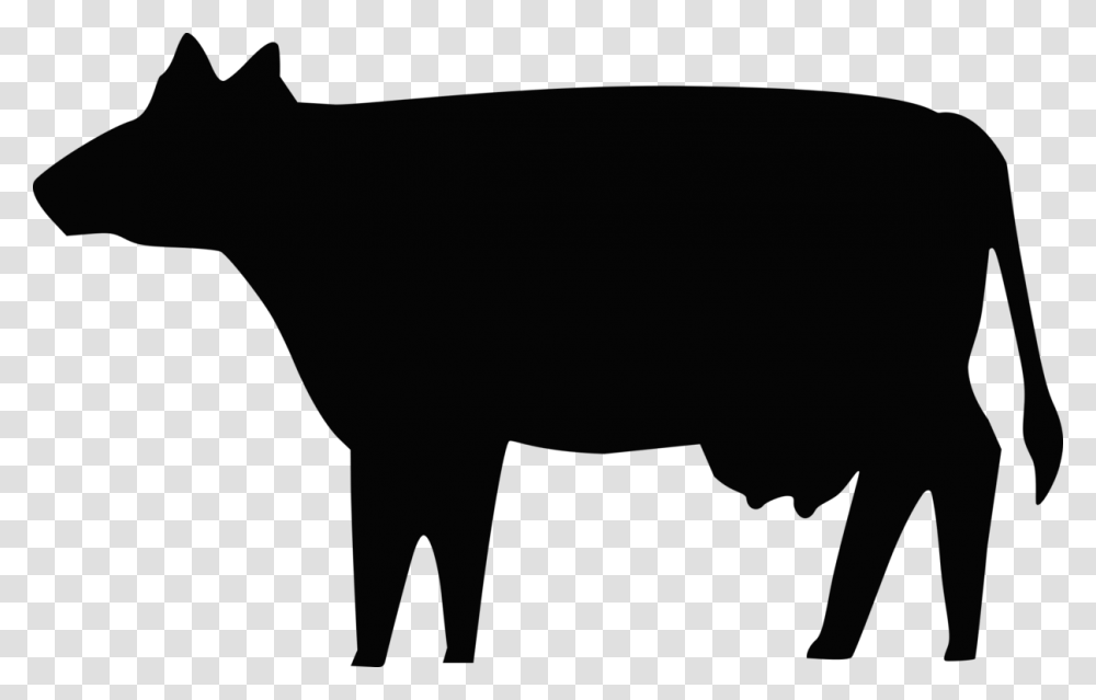 Beef Cattle Angus Cattle Ox Silhouette Dairy Cattle Free, Mammal, Animal, Wildlife, Light Transparent Png