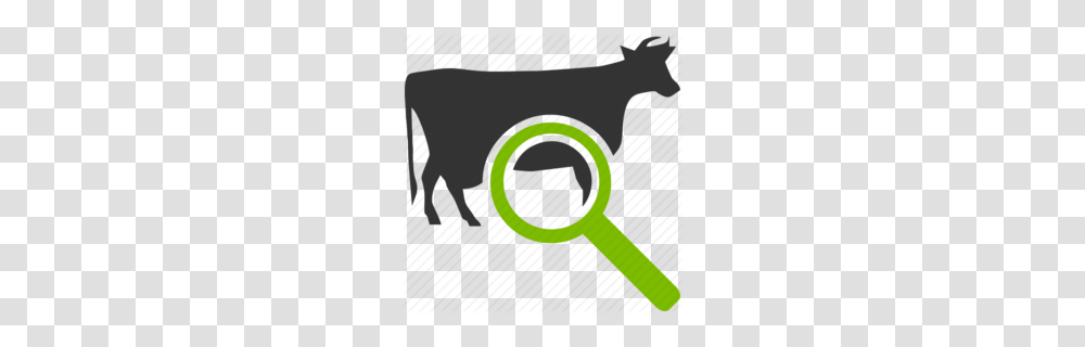 Beef Cattle Clipart, Magnifying Transparent Png