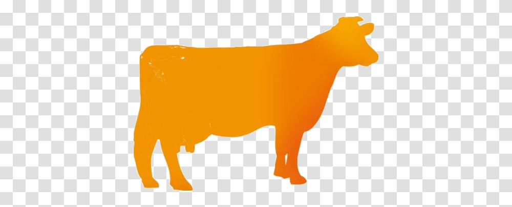 Beef Cattle Dairy Cow, Bull, Mammal, Animal, Angus Transparent Png