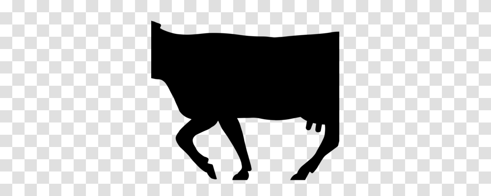 Beef Cattle Holstein Friesian Cattle Angus Cattle Taurine Cattle, Gray, World Of Warcraft Transparent Png