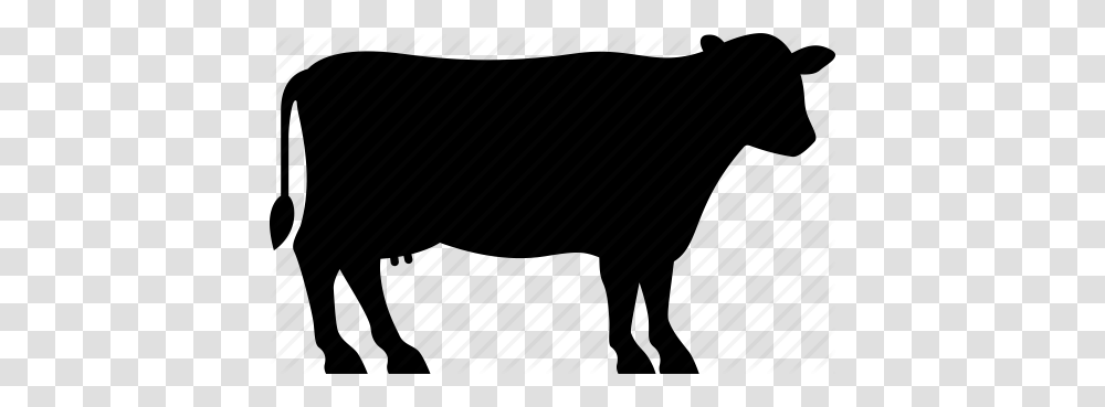 Beef Clipart Dairy Cow, Silhouette, Piano, Leisure Activities, Musical Instrument Transparent Png