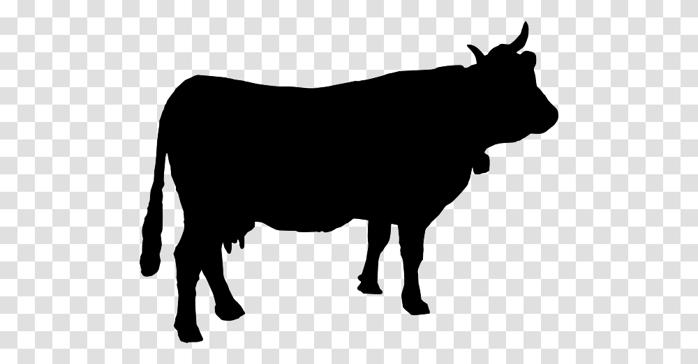 Beef Cow Silhouette, Bull, Mammal, Animal, Angus Transparent Png