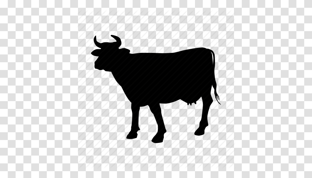 Beef Cow Steak Vaca Icon, Piano, Leisure Activities, Musical Instrument, Mammal Transparent Png