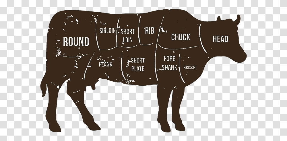 Beef Cuts Butcher Cuts Of Beef, Bull, Mammal, Animal, Pig Transparent Png