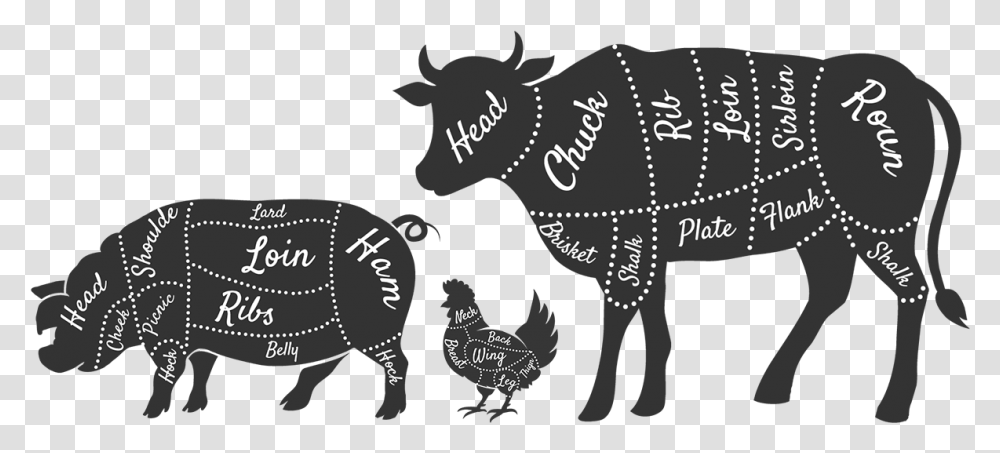 Beef Cuts Clipart, Animal, Mammal, Elephant, Wildlife Transparent Png