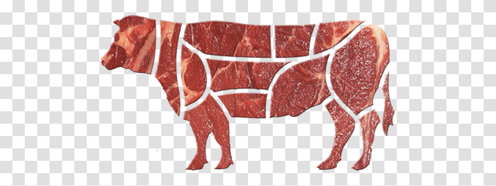 Beef, Food, Animal, Mammal, Rock Transparent Png