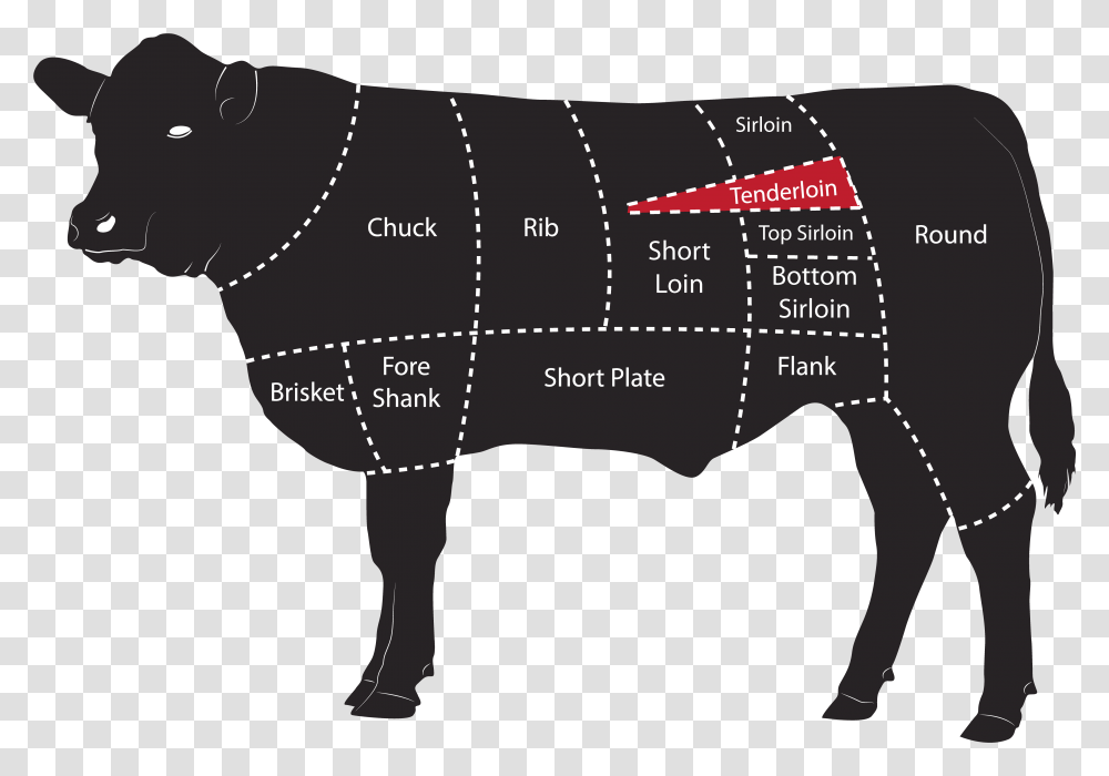Beef Meat Cuts Tenderloin Quarter Cut Of Cattle, Person, Human, Plot, Diagram Transparent Png