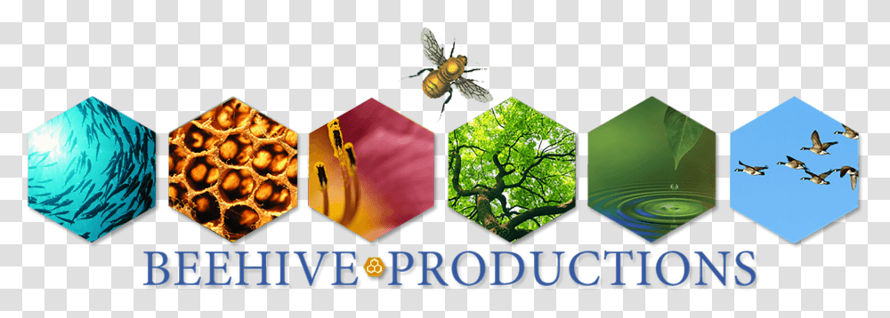 Beehive Banner, Bird, Animal, Insect, Invertebrate Transparent Png