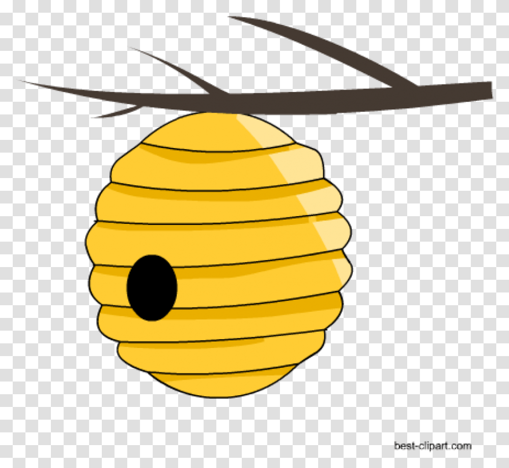 Beehive Clipart Free Honey Bee And Beehive Clip Ar Bee Hive Clip Art Free, Animal, Invertebrate, Insect Transparent Png