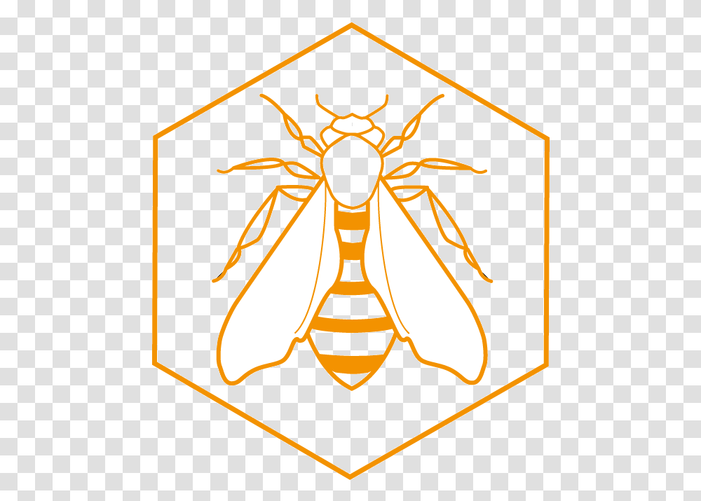 Beehive Net Winged Insects, Wasp, Invertebrate, Animal, Hornet Transparent Png
