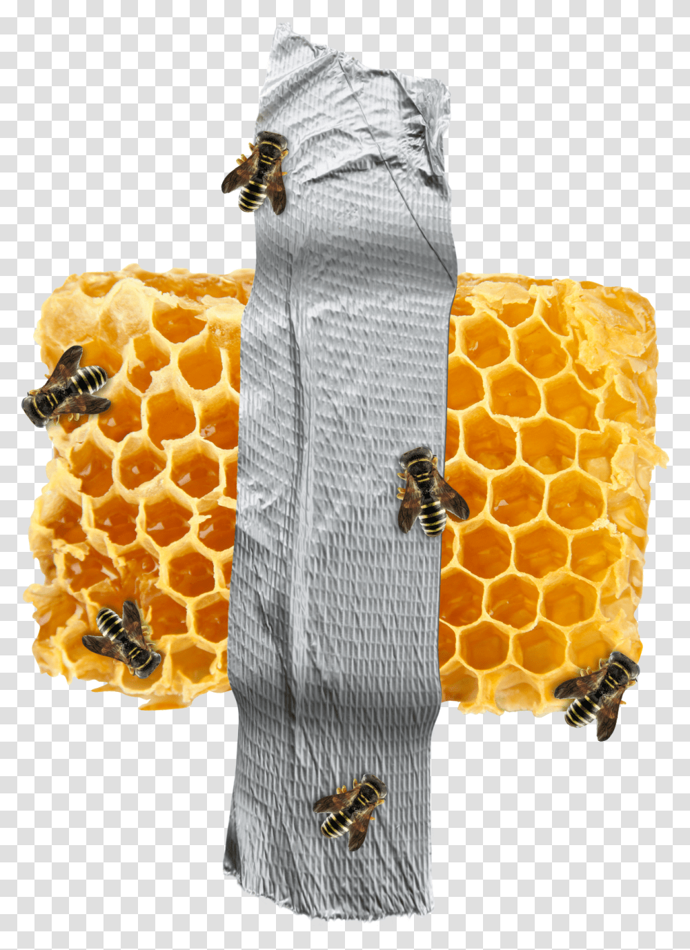 Beehive Pattern, Honeycomb, Food, Honey Bee, Insect Transparent Png