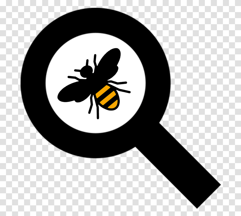 Beemagg Sitzbank Suzuki B King, Wasp, Insect, Invertebrate, Animal Transparent Png