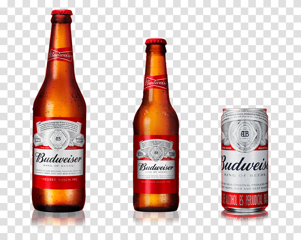 Beer Bottle, Alcohol, Beverage, Drink, Lager Transparent Png