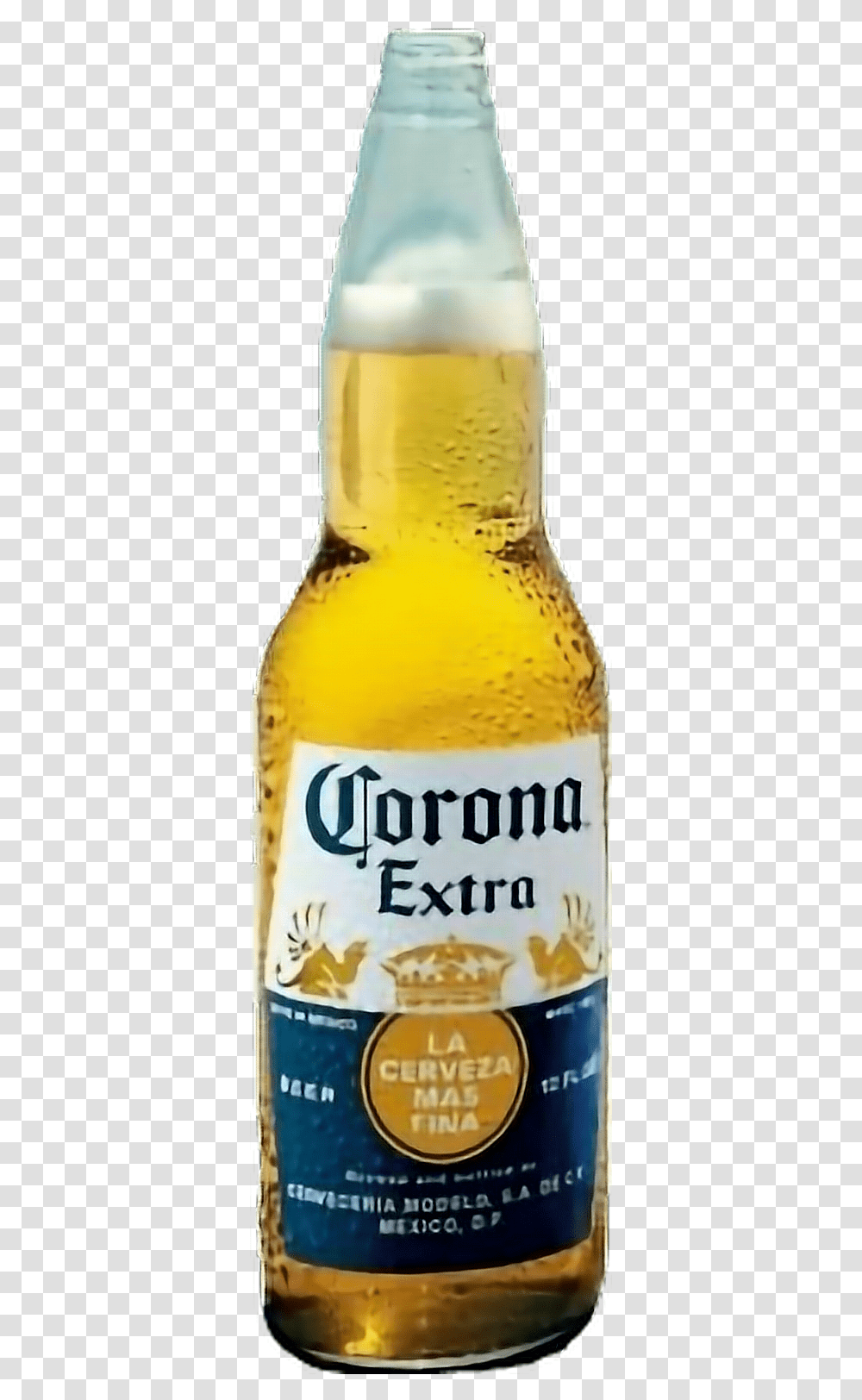 Beer Cheer Cerveza Corona Corona Extra, Alcohol, Beverage, Drink, Bottle Transparent Png