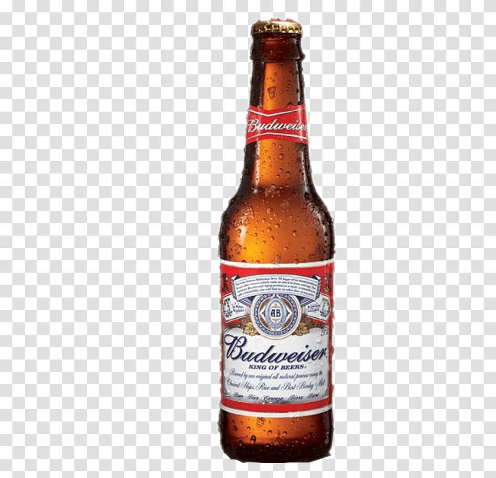 Beer Clipart Free Budweiser Beer, Alcohol, Beverage, Drink, Bottle Transparent Png