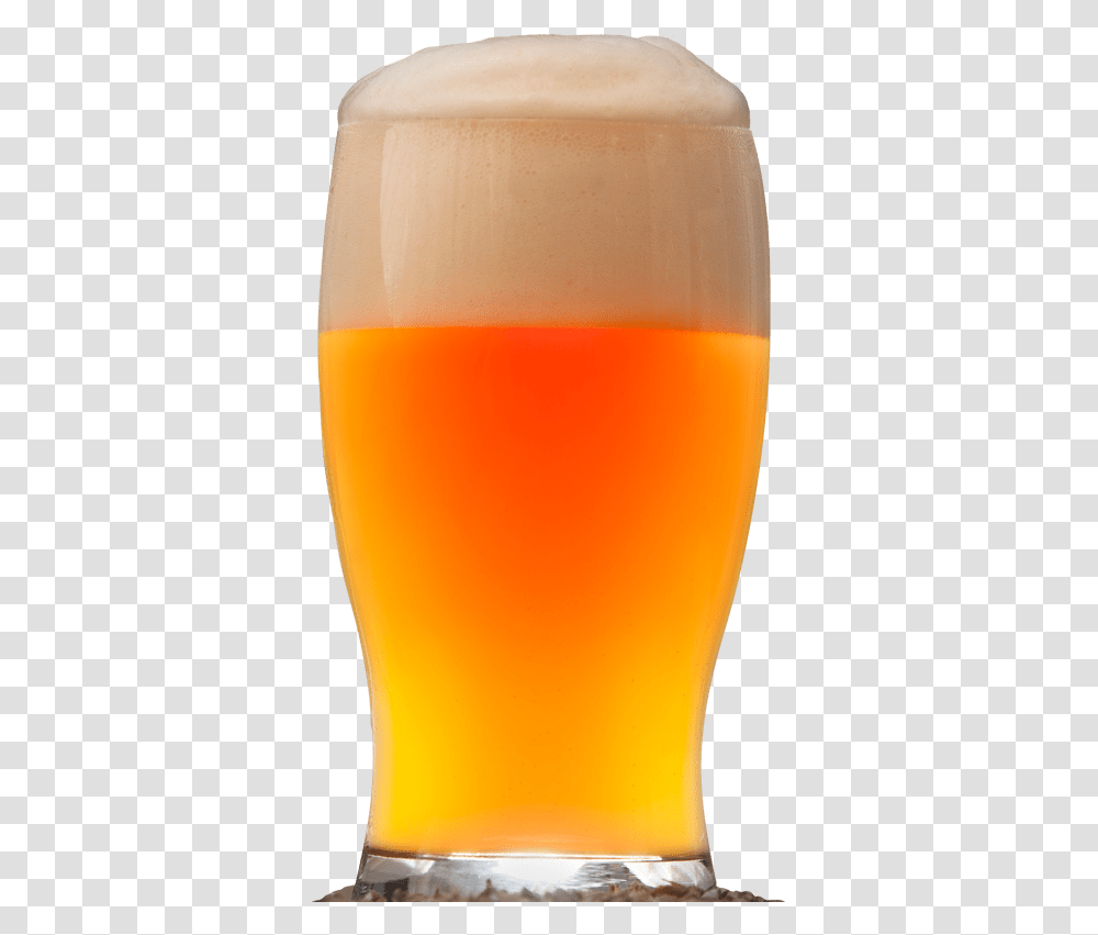 Beer Glass, Alcohol, Beverage, Drink, Lager Transparent Png
