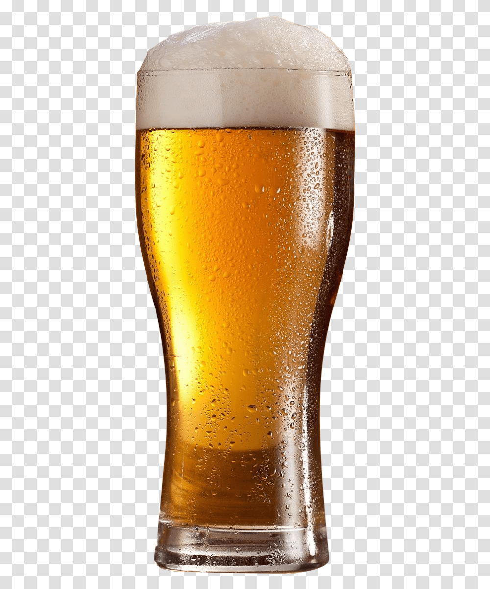 Beer Glass Image Free Searchpng Beer Glass Images Free Download, Alcohol, Beverage, Drink, Lager Transparent Png