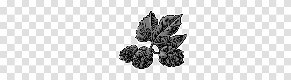 Beer Hops, Plant, Leaf, Tree, Fruit Transparent Png