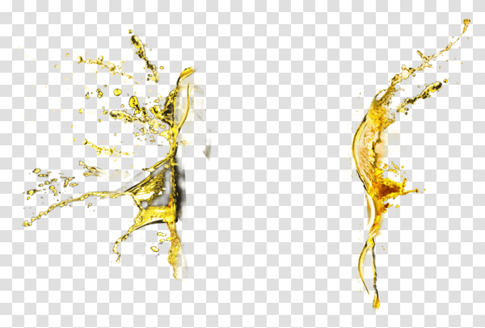 Beer Splash, Paper Transparent Png