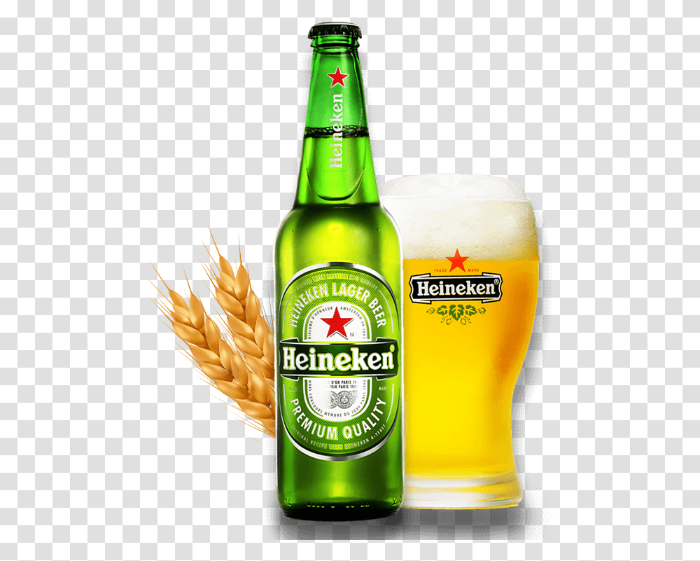 Beer World Store Heineken Bottle Vector, Alcohol, Beverage, Drink, Lager Transparent Png