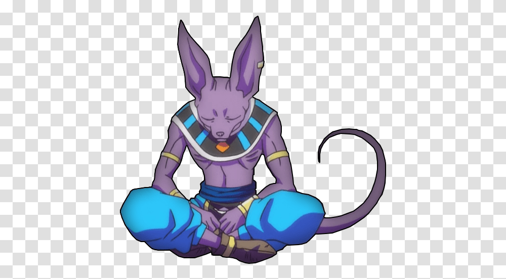 Beerus Back Beerus, Toy, Person Transparent Png