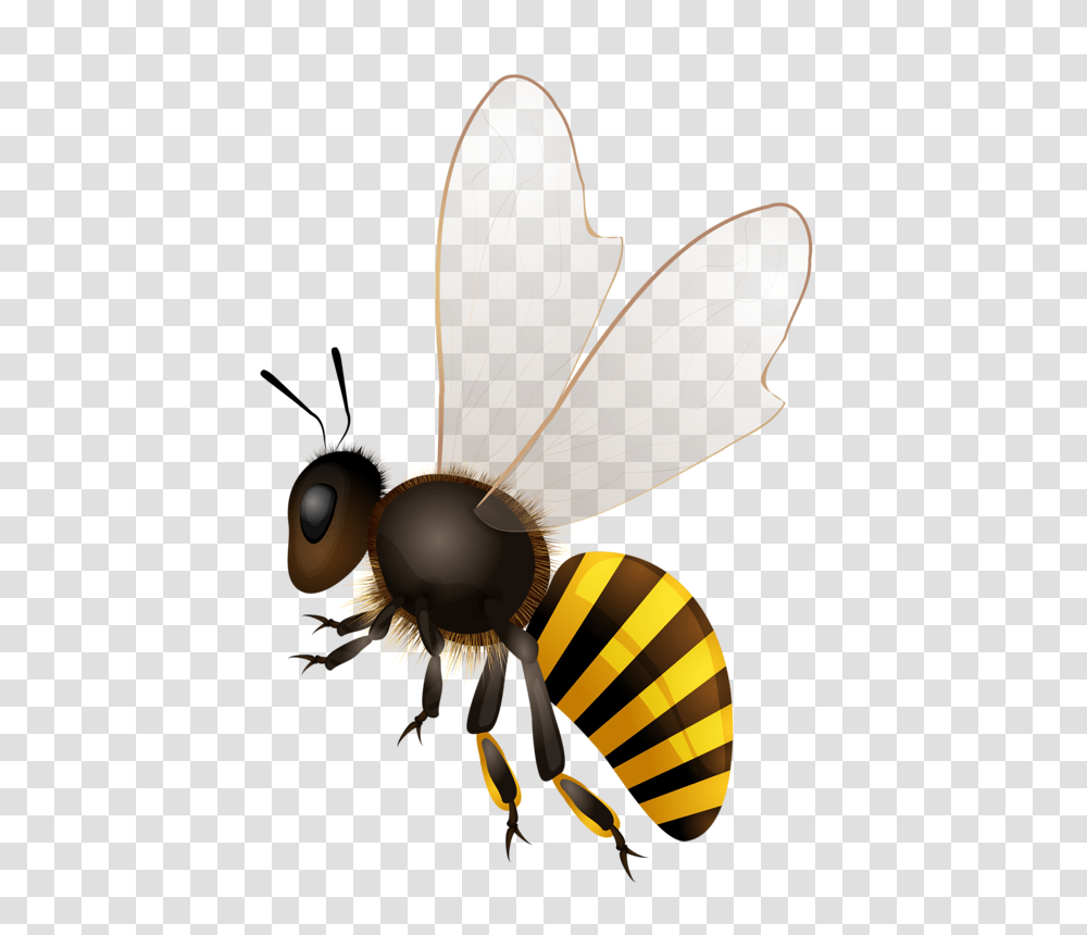 Bees Bee Bee Art, Honey Bee, Insect, Invertebrate, Animal Transparent Png