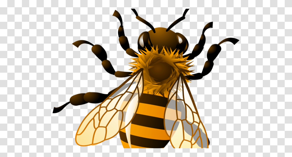 Bees Clipart Background Background Honey Bee Clipart, Insect, Invertebrate, Animal, Wasp Transparent Png