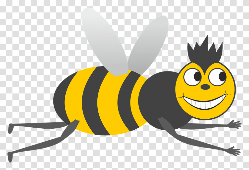Bees Knees Clipart, Honey Bee, Insect, Invertebrate, Animal Transparent Png
