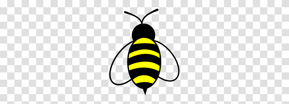 Bees Knees Clipart, Wasp, Insect, Invertebrate, Animal Transparent Png