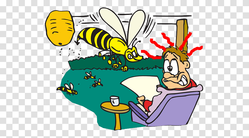 Bees Wasps Or Hornets Wasps On A Man, Insect, Invertebrate, Animal, Vegetation Transparent Png